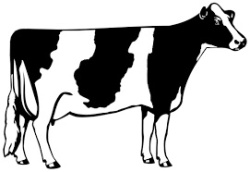 SPECIAL DAIRY CONSIGNMENT SALE