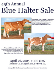 45th Annual Blue Halter Sale