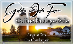 Golden Oaks Farm Online Embryo Sale