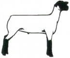 VIRGINIA TECH SOUTHWEST AREC RAM LAMB SALE