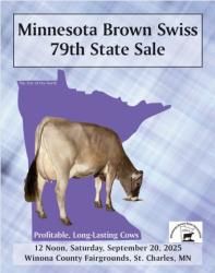 Minnesota Brown Swiss Breeders State Sale