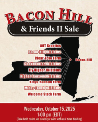Bacon Hill & Friends Sale II