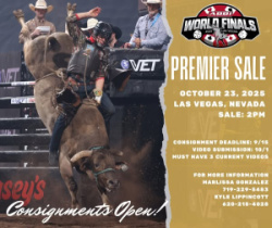2025 ABBI World Finals Premier Sale