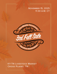 Middle Tennessee Hereford Association 2025 FALL SALE