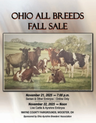 OHIO AYRSHIRE FALL ALL BREEDS SALE