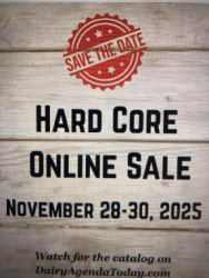 Hard Core and More Online Sale