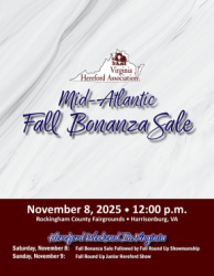 Mid-Atlantic Fall Bonanza Hereford Sale