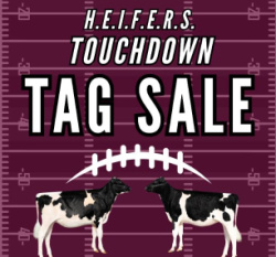 H.E.I.F.E.R.S. Touchdown Tag Sale