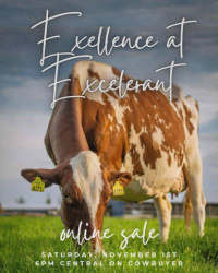 Excellence at Excelerant Genetics Online Embryo Sale