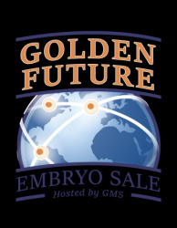 GOLDEN FUTURE EMBRYO SALE