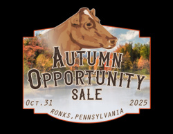 Autumn Opportunity Guernsey Sale
