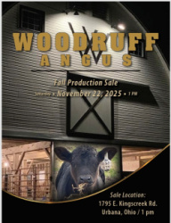 Woodruff Angus Fall Production Sale