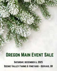 OREGON MAIN EVENT SALE