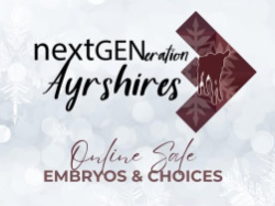 nextGENeration Ayrshire Embryo & Flush Online Sale