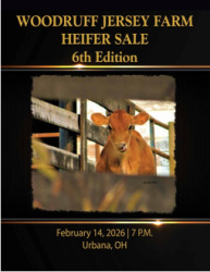 6th Annual Woodruff Jersey Heifer Sale