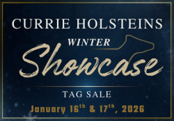 Currie Holsteins Winter Showcase Tag Sale