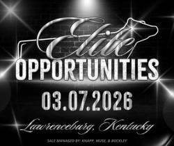 Elite Opportunities Sale
