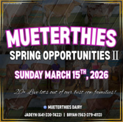 Mueterthies Springtime Opportunities II