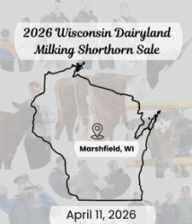 Dairyland Milking Shorthorn Sale