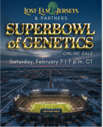 Lost Elm & Partners Superbowl of Genetics Online Sale