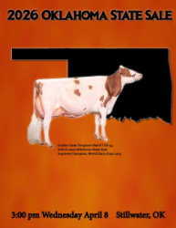 Oklahoma State Holstein Sale