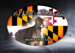52nd Mid Atlantic Brown Swiss Calf Sale