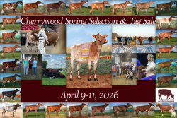 Cherrywood Spring Selection & Tag Sale