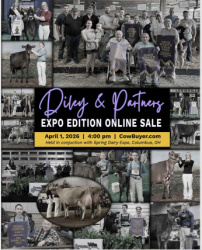 Diley and Partners Expo Edition Online Sale