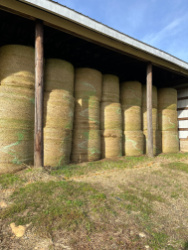 NCDA Umstead Research Station Online Hay Sale