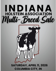 Indiana Holstein Association Multi-Breed Sale