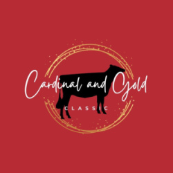 Cardinal and Gold Classic Online Sale