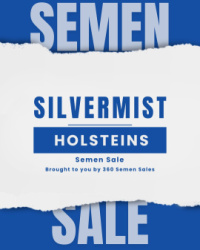 Silver Mist Holsteins Semen Dispersal Online Sale