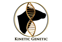 KENETIC GENETICS ONLINE SEMEN SALE