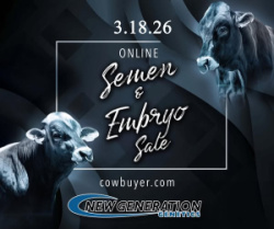 New Generation Brown Swiss Semen & Embryo Sale