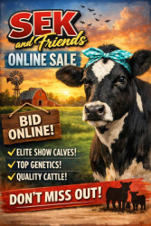 SEK & Friends Online Sale