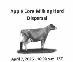 Apple Core Milking Herd Dispersal