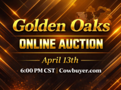 Golden Oaks Online Auction