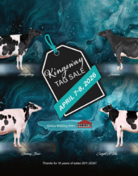 Kingsway Online Tag Sale