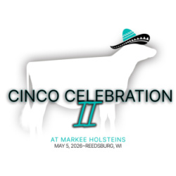 Cinco Celebration II at Markee Holsteins