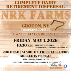 NRK Farms Complete Dairy Dispersal