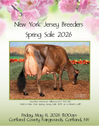2026 New York State Spring Jersey Sale