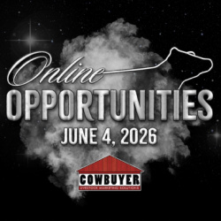 Online Opportunities Sale