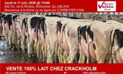 Vente 100% Lait Chez Crackholm