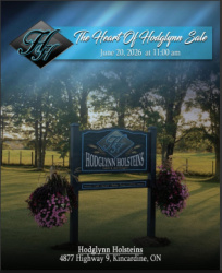 The Heart of Hodglynn Sale