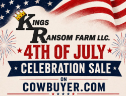 Kings Ransom Farm 4th of July Celebration Sale