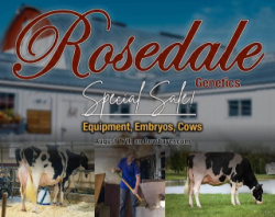 Rosedale Genetics Special Online Sale