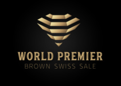 World Premier Brown Swiss Sale