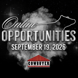 All-Breeds Extravaganza Online Sale