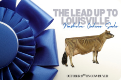 The Lead Up to Louisville Nasholm Online Sale