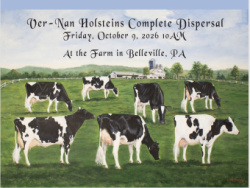 VER-NAN HOLSTEINS COMPLETE DISPERSAL SALE